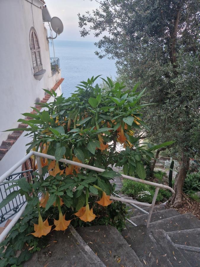 Antica Plagianum Bed and Breakfast Praiano Buitenkant foto